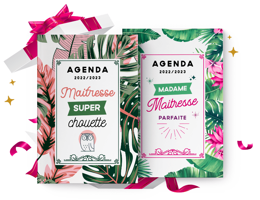 Agenda Maitresse 2023 2024: Planner Professeur Des Ecoles 2023  2024|D'septembre 2023 À Août 2024|Cadeau Personnalisé Maitresse (French  Edition)